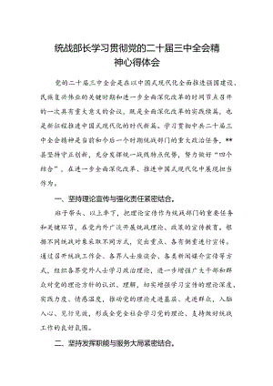统战部长学习贯彻党的二十届三中全会精神心得体会.docx