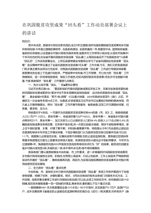 在巩固脱贫攻坚成果“回头看”工作动员部署会议上的讲话.docx
