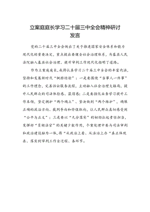 立案庭庭长学习二十届三中全会精神研讨发言.docx