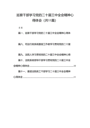 （11篇）巡察干部学习党的二十届三中全会精神心得体会范文.docx