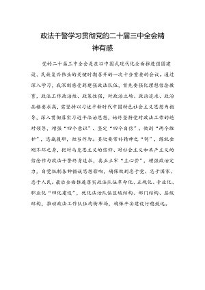 政法干警学习贯彻党的二十届三中全会精神有感.docx