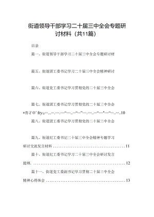 （11篇）街道领导干部学习二十届三中全会专题研讨材料（详细版）.docx