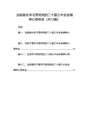 法庭庭长学习贯彻党的二十届三中全会精神心得体会范文12篇供参考.docx