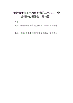 （10篇）银行青年员工学习贯彻党的二十届三中全会精神心得体会集合.docx