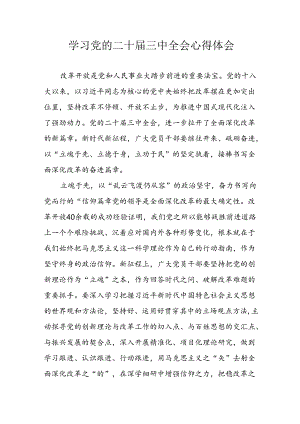 学习2024年学习党的二十届三中全会个人心得感悟 （6份）_58.docx