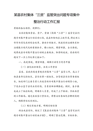 某县农村集体“三资”监管突出问题专项集中整治行动工作汇报.docx