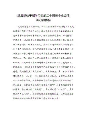 基层纪检干部学习党的二十届三中全会精神心得体会.docx