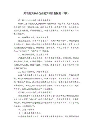 关于拖欠中小企业的欠款自查报告（3篇）.docx