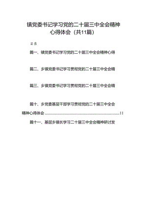（11篇）镇党委书记学习党的二十届三中全会精神心得体会（最新版）.docx