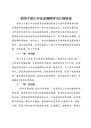 领导干部三中全会精神学习心得体会.docx