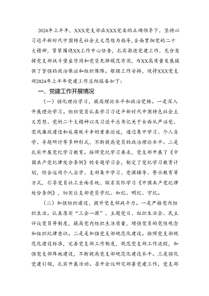 2024年上半年党建工作总结.docx