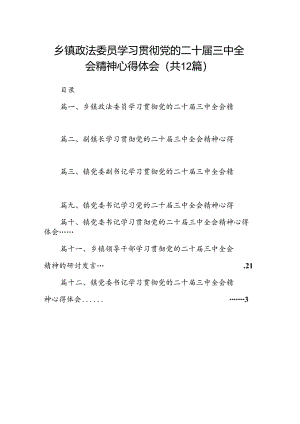 乡镇政法委员学习贯彻党的二十届三中全会精神心得体会12篇（详细版）.docx