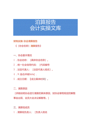 财税实操-协会清算报告.docx