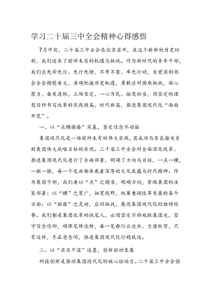 学习二十届三中全会精神心得感悟.docx