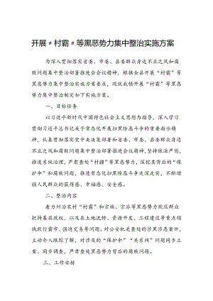 开展“村霸”等黑恶势力集中整治实施方案.docx