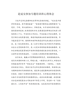 赴延安参加专题培训班心得体会.docx