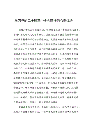 2024年党的二十届三中全会精神学习体会合集28篇.docx