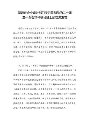 公司副职在企业审计部门学习贯彻党的二十届三中全会精神研讨班上的交流发言.docx