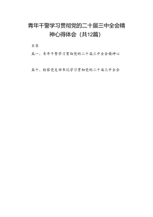 青年干警学习贯彻党的二十届三中全会精神心得体会12篇供参考.docx