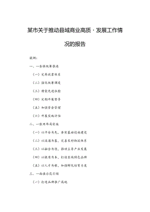 某市关于推动县域商业高质量发展工作情况的报告.docx