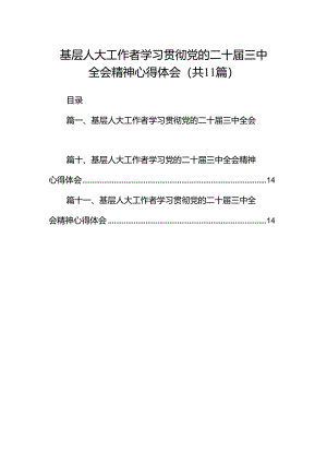 （11篇）基层人大工作者学习贯彻党的二十届三中全会精神心得体会（详细版）.docx