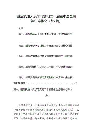 基层执法人员学习贯彻二十届三中全会精神心得体会7篇（精选版）.docx