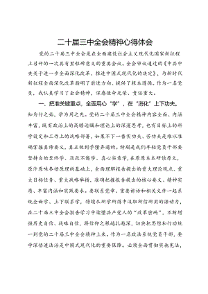 纪检监察干部二十届三中全会精神心得体会.docx