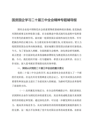 国资国企学习二十届三中全会精神专题辅导报告.docx