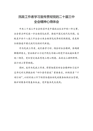 民政工作者学习宣传贯彻党的二十届三中全会精神心得体会.docx