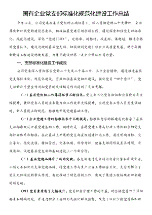 国有企业党支部标准化规范化建设工作总结.docx