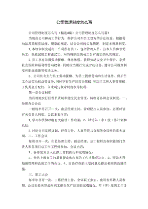 公司管理制度怎么写.docx