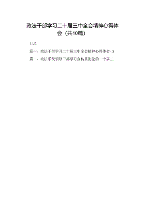 （10篇）政法干部学习二十届三中全会精神心得体会汇编.docx