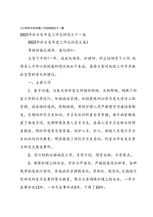 2023年护士长年度工作总结范文十一篇.docx