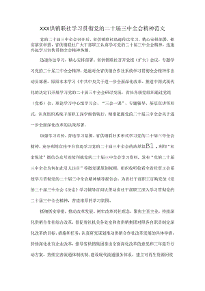 XXX供销联社学习贯彻党的二十届三中全会精神范文.docx