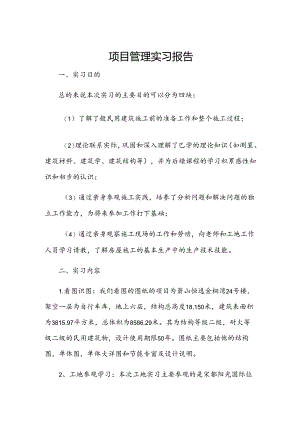 项目管理实习报告.docx