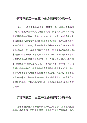 关于二十届三中全会精神学习体会例文.docx