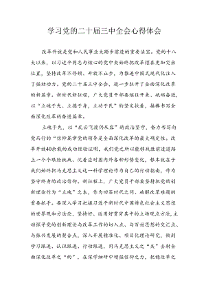 学习2024年学习党的二十届三中全会个人心得感悟 （3份）_63.docx