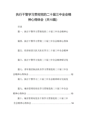 （10篇）执行干警学习贯彻党的二十届三中全会精神心得体会（最新版）.docx
