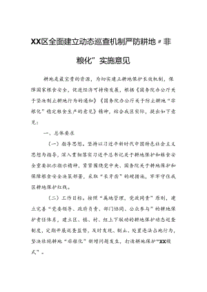 XX区全面建立动态巡查机制严防耕地“非粮化”实施意见.docx