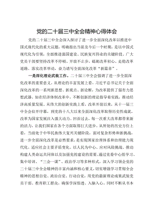 公司党员干部党的二十届三中全会精神心得体会.docx