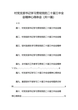 （11篇）村党支部书记学习贯彻党的二十届三中全会精神心得体会样本.docx