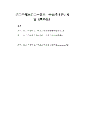 （10篇）组工干部学习二十届三中全会精神研讨发言范文.docx
