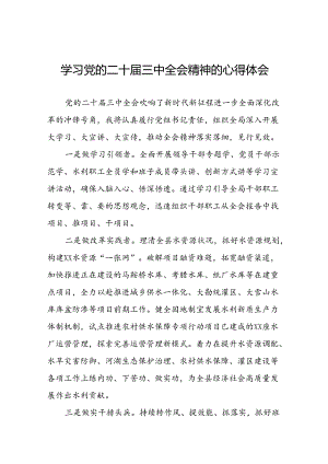 学习贯彻党的二十届三中全会精神的心得体会简短交流发言材料33篇.docx