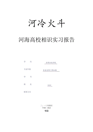实习报告—河海大学.docx