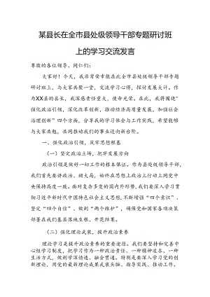 某县长在全市县处级领导干部专题研讨班上的学习交流发言.docx