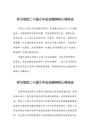 党的二十届三中全会精神的学习心得体会合集五十五篇.docx