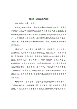 挂职干部表态发言.docx