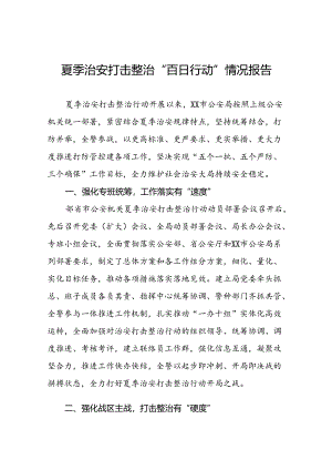 公安推进2024年夏季治安打击整治行动工作总结19篇.docx