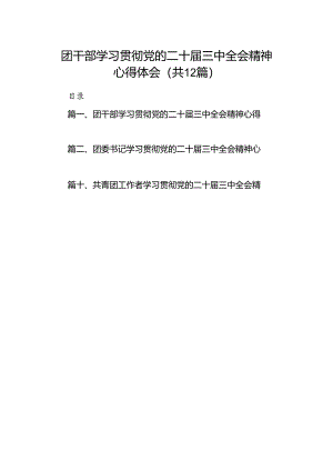 团干部学习贯彻党的二十届三中全会精神心得体会12篇专题资料.docx