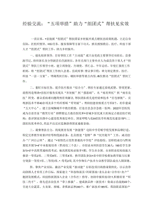 经验交流：“五项举措”助力“组团式”帮扶见实效.docx